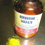 Berberine Supplement Bottle